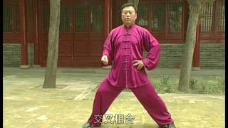 張東武 Zhang Dongwu - 老架一路 Laojia Yilu (Old Frame First Form) 2