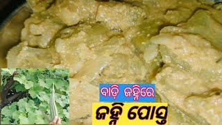 ଜହ୍ନି ପୋସ୍ତ//Redge gourd recipe👌//janhi posto Recipe//Redge gourd in poppy seed Recipe