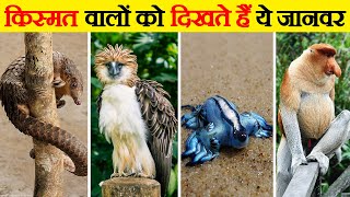 दुनिया के सबसे दुर्लभ जानवर | Most Rarest Animals In The World