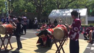 井手ノ上獅子組  丸亀お城祭り