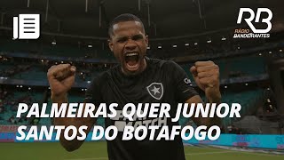 Junior Santos pode estar de saída do Botafogo