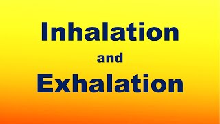 Inhalation and Exhalation Process