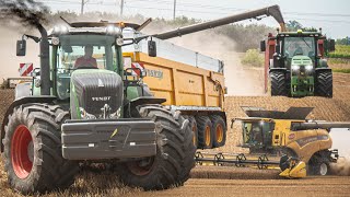 WIELKIE ŻNIWA 2024 | 5 CIĄGNIKÓW W ODWOZIE | 2 KOMBAJNY | GR GIERADA | ŚWIĘTOKRZYSKIE | BIG HARVEST