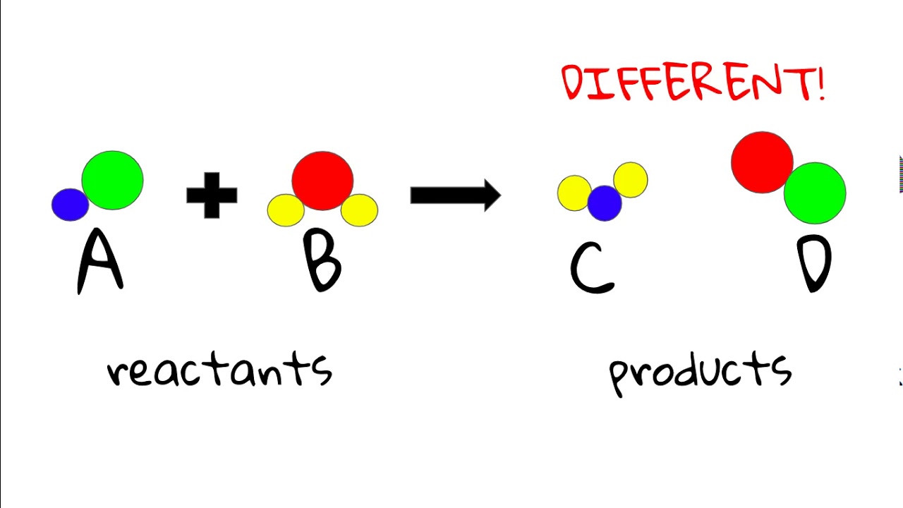 Reactants And Products - YouTube