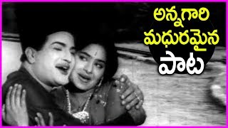 Golden Hit Song Of NTR In Telugu - Bhale Tammudu Movie Video Songs