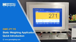 Static Weighing Controller GMC-P7F8 for Weighing Easy and Efficient