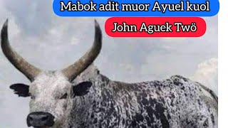 Mabok adit muor Ayuel Kuol by John Aguek Twö || South Sudan music