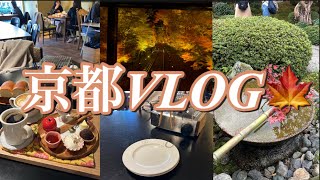 [京都]久しぶりの京都で紅葉vlog|京都|京都カフェ|御朱印巡り|ぶらり散歩|vlog#京都#京都カフェ#御朱印#御朱印めぐり#vlog