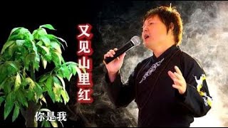 歌曲：祁隆《又见山里红》，一首好听的经典老歌！