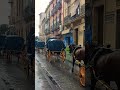 Прогулянки під дощем Севільї sevilla españa севілья spain vlog spainvlog дощ коні carruaje