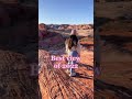 Your Sign to Visit Valley of Fire #shorts