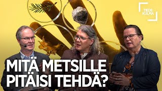 Mitä Suomen metsille pitäisi tehdä?