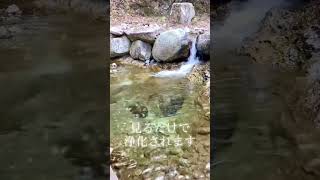 ✴️見るだけで浄化されます✴️三重県⛰川上山若宮八幡宮⛩ご神水💧✨