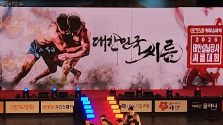 위더스제약 2025 태안 설날장사씨름대회(태백장사(-80kg)결정전)