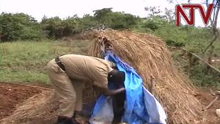 Two million hectares of land in Mubende lost to landgrabbers