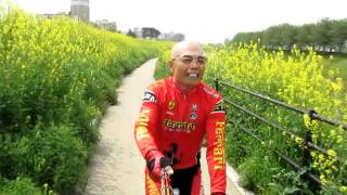 ハゲ爺・菜の花・自転車道を走る