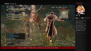 DDON　アルケミストでLV上げ+BO集め～