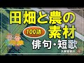 俳句・短歌「田畑と農の素材」100語【五・七語素材集】