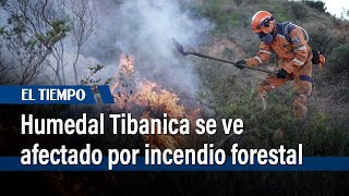 Incendio forestal consumió capa vegetal en el humedal Tibanica | El Tiempo
