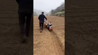 Gasoline micro tillage machine#agriculture #subscribe #farming #excavator #subscribe