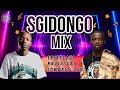 Sgidongo Mix 2026 | Lowbass Djy | Nkulee501 | Tribesoul | By Babza Da J #amapianomix2026 #sgidongo 