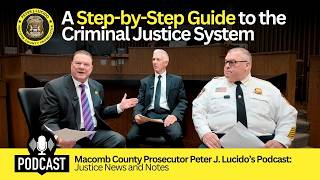 A Step-by-Step Guide to the Criminal Justice System
