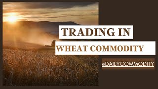 How to trade Wheat Commodity? | Wheat Commodity | Wheat Futures | Daily Commodity