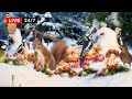 🔴24/7 LIVE CAT TV NO ADS 😺 Forest Friends at Holiday Winter Wonderland 🐿️ WILD SQUIRRELS & BIRDS