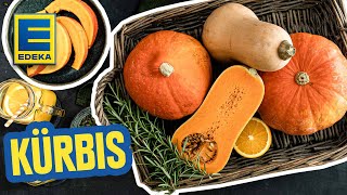 Kürbis-Rezepte I Einfache Gerichte mit Hokkaido \u0026 Butternut