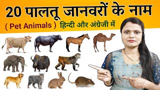 20 Pet Animals Name Hindi and English | पालतू जानवरों के नाम, Domestic Animals Name, Animals Name