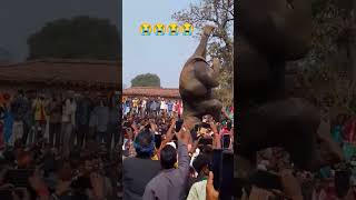 ऐसा गांव वाले जंगली हाथियों पर जुल्म क्यों कर रहे हैं 😭😭😭💔…#shortvideo #shorts #india #youtubeshorts