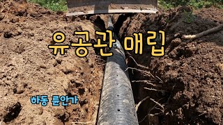 倫安家 작업일지 2024년 5월 14일, 뒷동산에 유공관 뭍기(Underground perforated drain pipes installation)