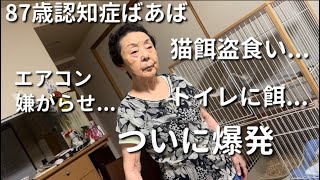 【破戒】87歳認知症ばあばと33歳こどおじ(孫)二人暮らし【ラグドール】【ハゴロモセキセイインコ】