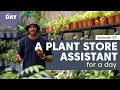 A Plant Store Assistant for a Day in Sri Lanka | One Day E03 | Peaceful, Nature, Life, Jobs