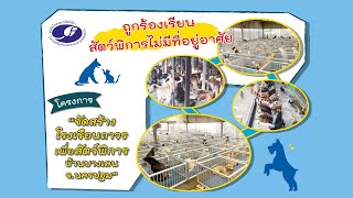 ร่วมบริจาคสนับสนุนการสร้างโรงเรือนถาวรสำหรับสัตว์พิการ | มูลนิธิบ้านสงเคราะห์สัตว์พิการ