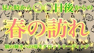 【🌸春の訪れ🌸】見た時から〇〇日後からの春の訪れをテーマにタロットカードリーディングをさせていただきました🕊️そこからの最高の未来もお届けします✨楽しんでご覧ください♪♪