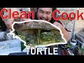 CLEAN, COOK AND EAT SOFT SHELL TURTLE Wrapped in Grape Leaves