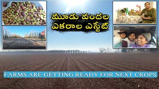 మూడు వందల ఎకరాల ఎస్టేట్ || Farms are getting ready for next crops ||Telugu Vlogs from the USA