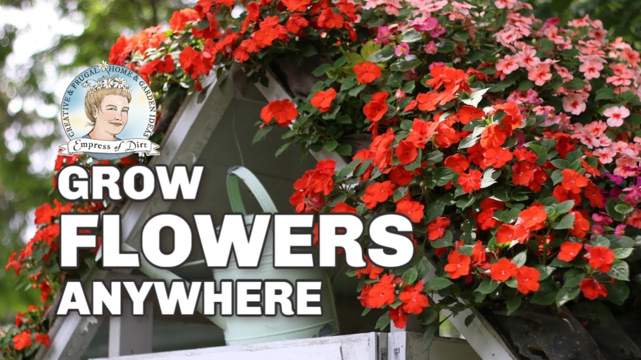 Thrifty Diy Mini Green Roof Youtube