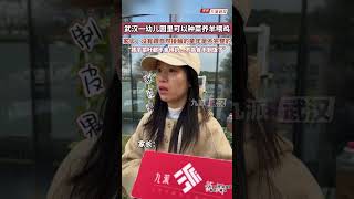 武漢一幼兒園里可以種菜養羊喂雞，家長：孩子如今菜葉都不舍得扔，不挑食不剩飯了