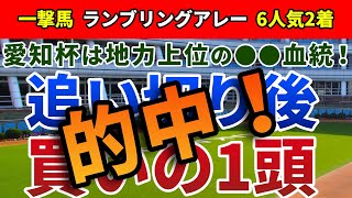 愛知杯2021 追い切り後【買いの1頭】公開！高配当的中には先入観を捨てる必要アリ！？実績に対して過少評価のアノ馬に要注目！