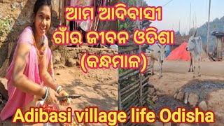 ଆମ ଆଦିବାସୀ ଗାଁର ଜୀବନ// aAdibasi village life odisha// @TaraVlogs25