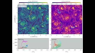 Evolution of Special Relativistic Turbulent Plasma