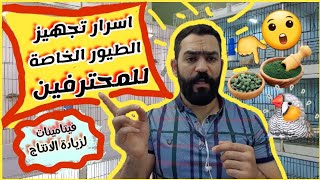 تجهيز الطيور لموسم الإنتاج والفيتامينات الضروريه لهذه الفترة ...