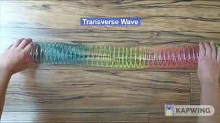 SPS Outreach: Longitudinal and Transverse Waves