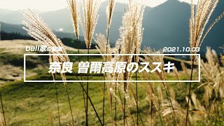 奈良県「曽爾高原（そにこうげん）」のススキを見てきました。