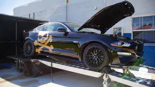 Lethal Performance presents: 2018 Mustang GT 3.0L Whipple Supercharger