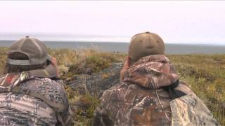 Babe Winkelman's Outdoor Secrets - Arctic Field of Muskox Dreams