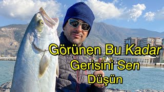 Canlı kefalle balık avı ! İskenderunlular Gözlerine İnanamadı !