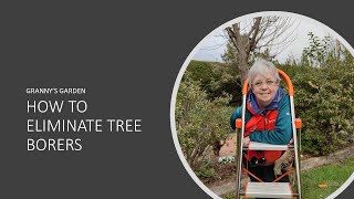 How To Eliminate Tree Borers